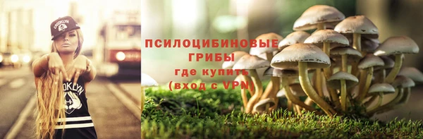 дмт Верея