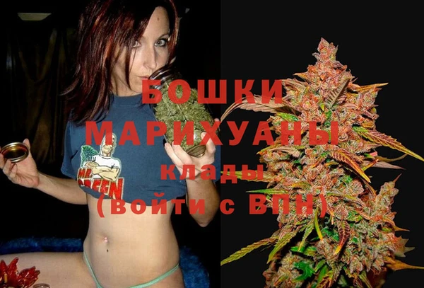 дмт Верея