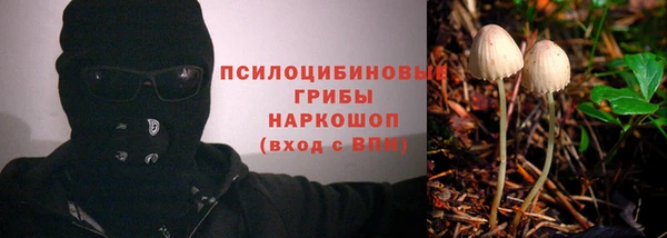 дмт Верея