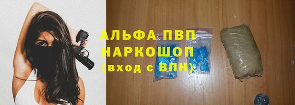 дмт Верея