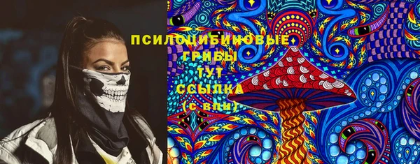 дмт Верея