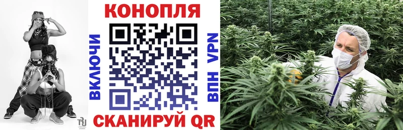 Бошки Шишки SATIVA & INDICA  Новый Оскол 